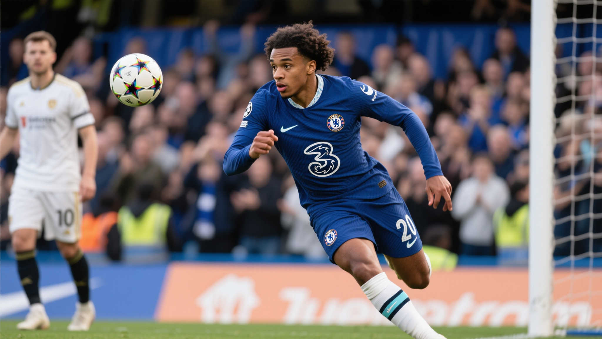 不仅展示了 不仅展示了